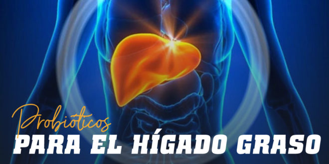 ¿Reducen los Probióticos el hígado graso? ¿Reducen los Probióticos el hígado graso?