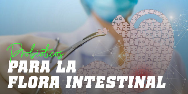Probióticos para regenerar la Flora Intestinal