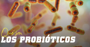 Qué son los Probióticos