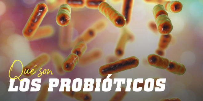 Probióticos: Qué son y Cuáles son sus Beneficios para la Salud Probióticos: Qué son y Cuáles son sus Beneficios para la Salud