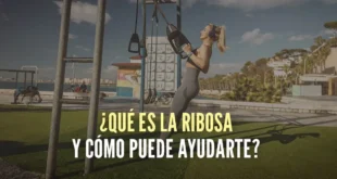 Qué es la ribosa y cómo te ayuda