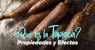 Tapioca