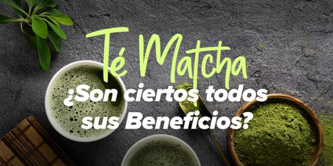 Té Matcha: ¿Son ciertos todos sus Beneficios? Té Matcha: ¿Son ciertos todos sus Beneficios?