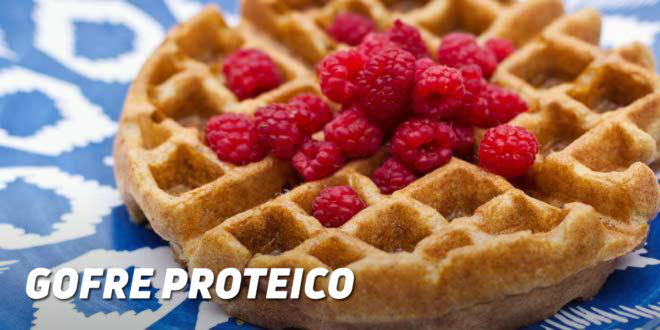 Gofre Proteico Gofre Proteico