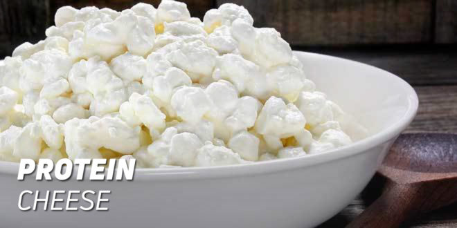 Protein Cheese