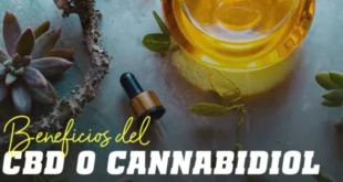 Beneficios del CBD o Cannabidiol
