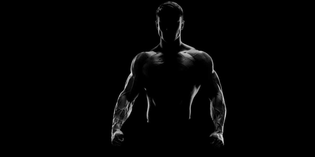 Ganancia Masa Muscular