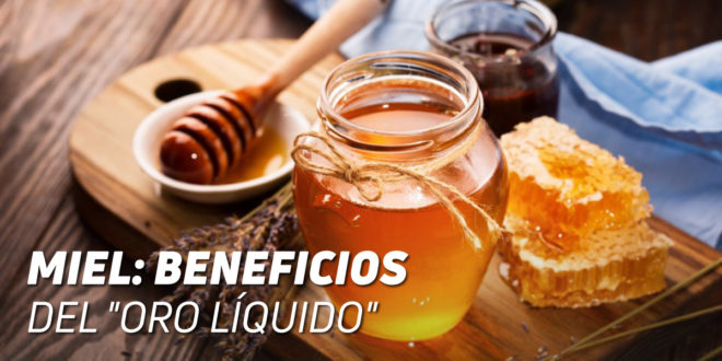 Miel: Beneficios del Oro Dulce Miel: Beneficios del Oro Dulce