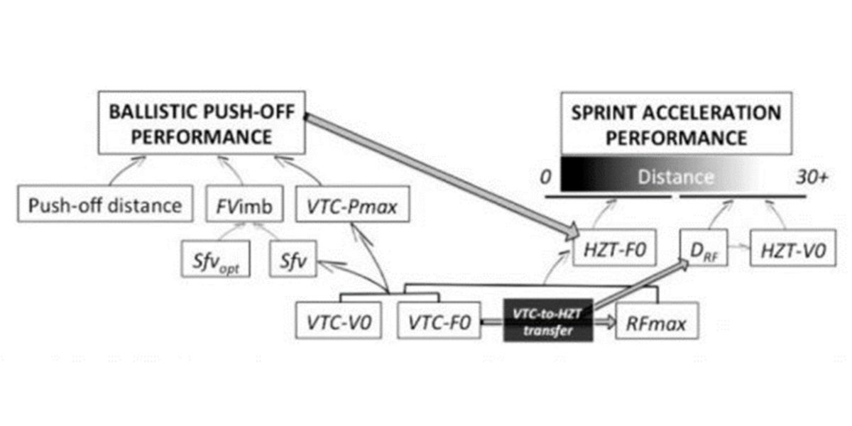 Profil force-puissance-vitesse