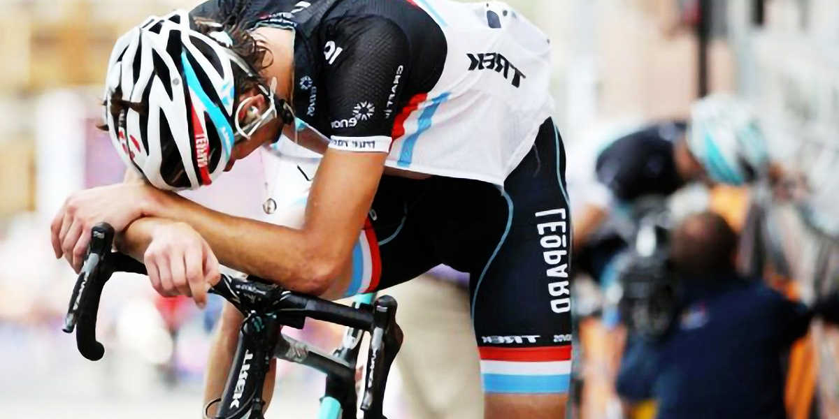 ¿Qué nutrientes tienen?