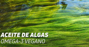 Aceite de Algas
