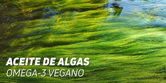 Ácidos grasos omega 3 para veganos: alimentos y suplementos