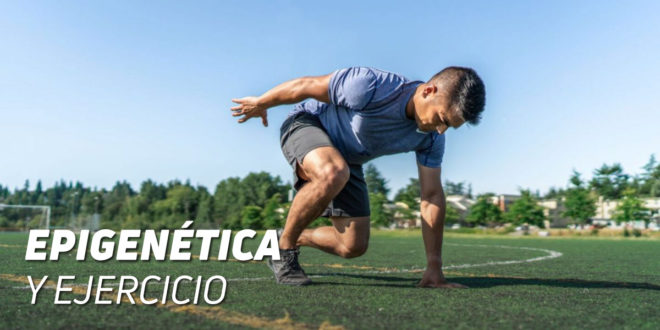 Epigenética y Ejercicio: Una Amistad Necesaria
