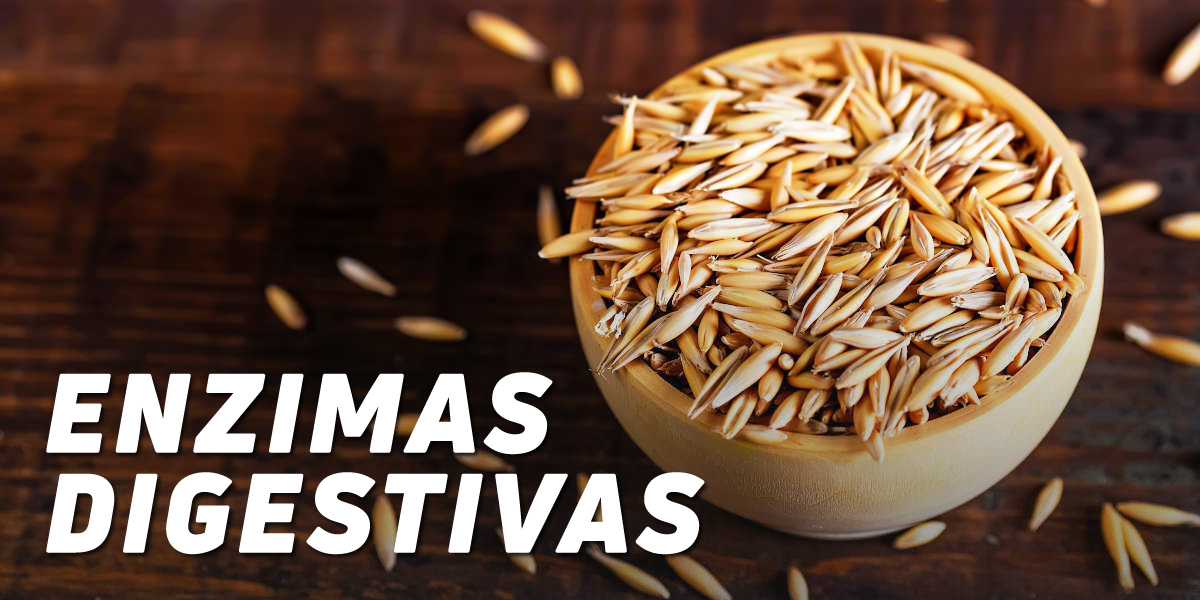 Enzimas Digestivas