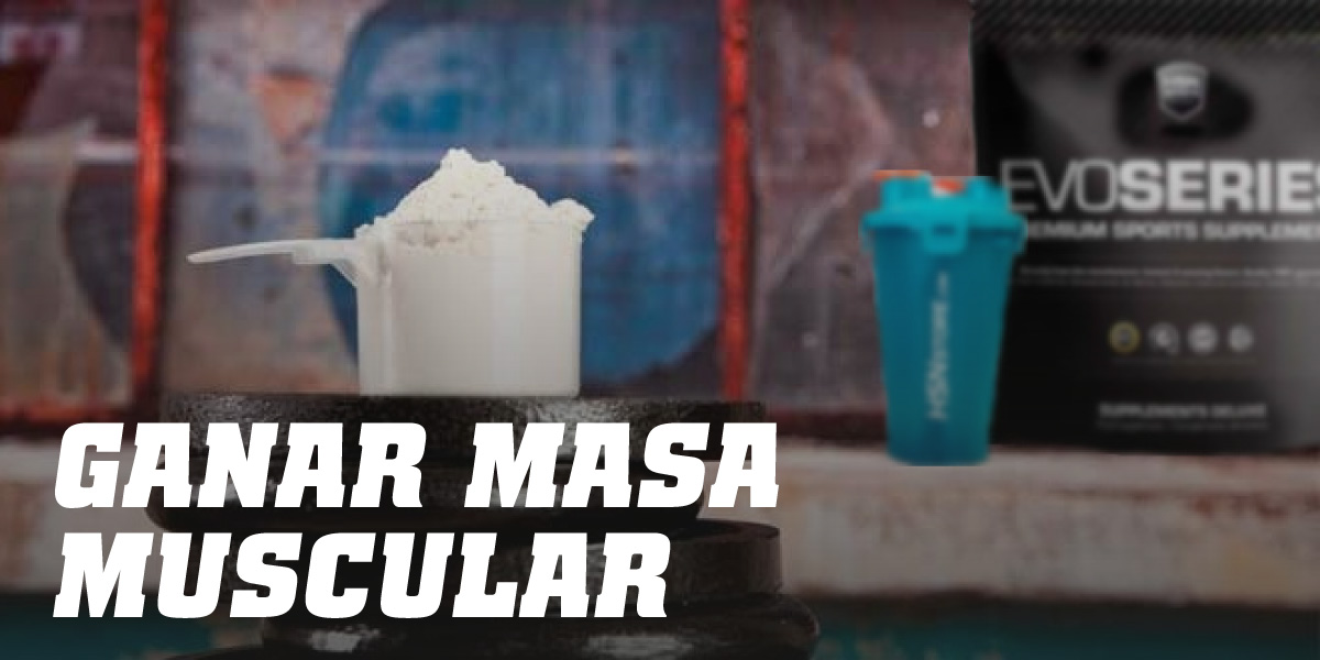 Ganar Peso y Masa Muscular HSN