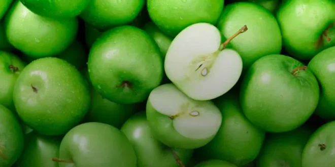 Fibra de Manzana Fibra de Manzana
