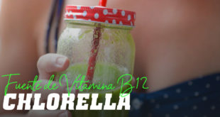 Chlorella fuente de vitamina b12