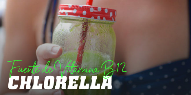 Chlorella: Fuente de Vitamina B12 Chlorella: Fuente de Vitamina B12