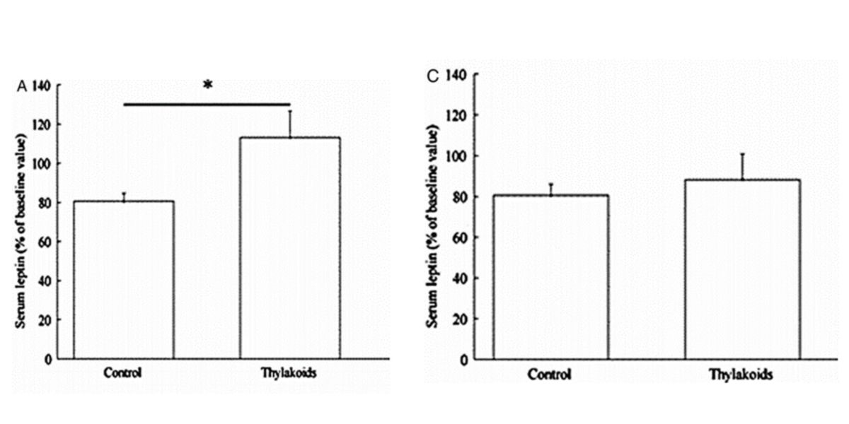 consumo de tilacoides