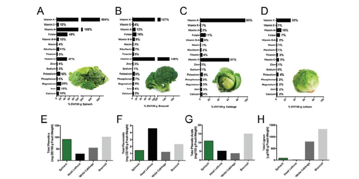 Contenido en Vitaminas y Minerales de Espinacas