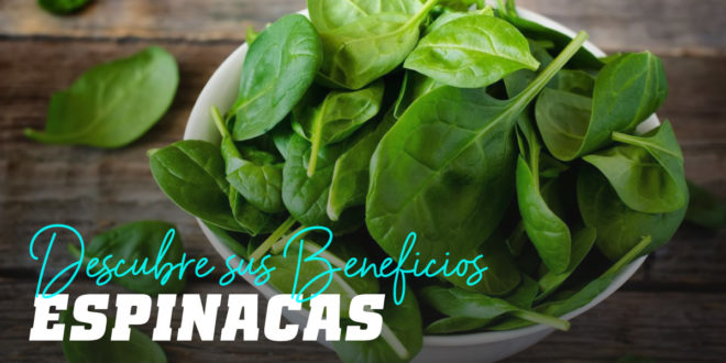 Espinacas: Descubre todos Sus Beneficios
