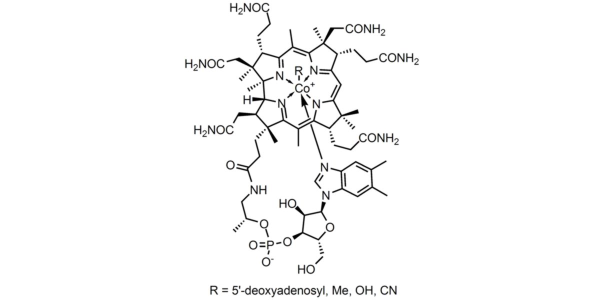estructura cobalamina