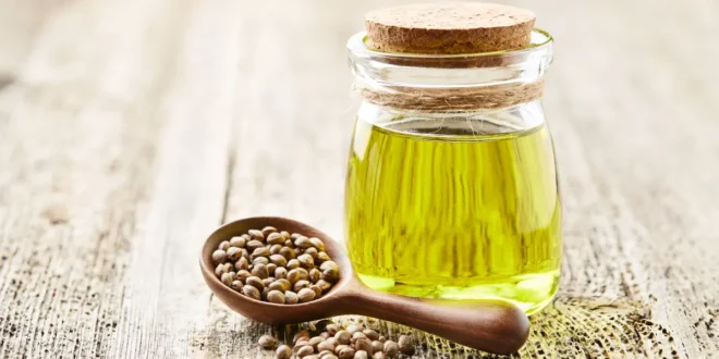 Beneficios comprobados del aceite de semilla de cáñamo Beneficios comprobados del aceite de semilla de cáñamo