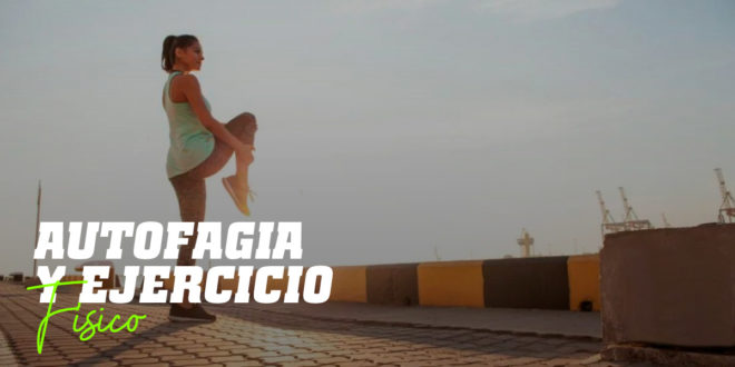 Ejercicio y Autofagia