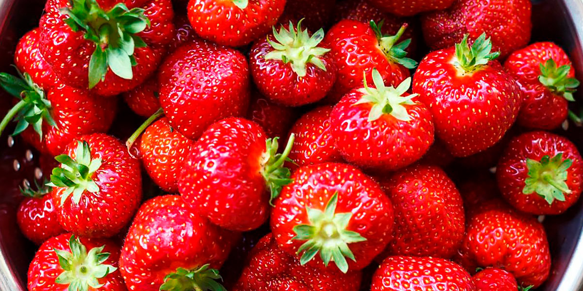 Fraises comme antioxydants