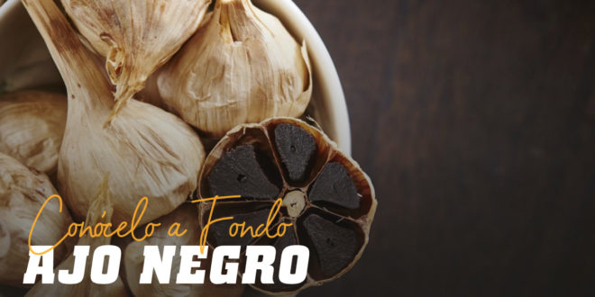 Ajo Negro: Conócelo a Fondo Ajo Negro: Conócelo a Fondo