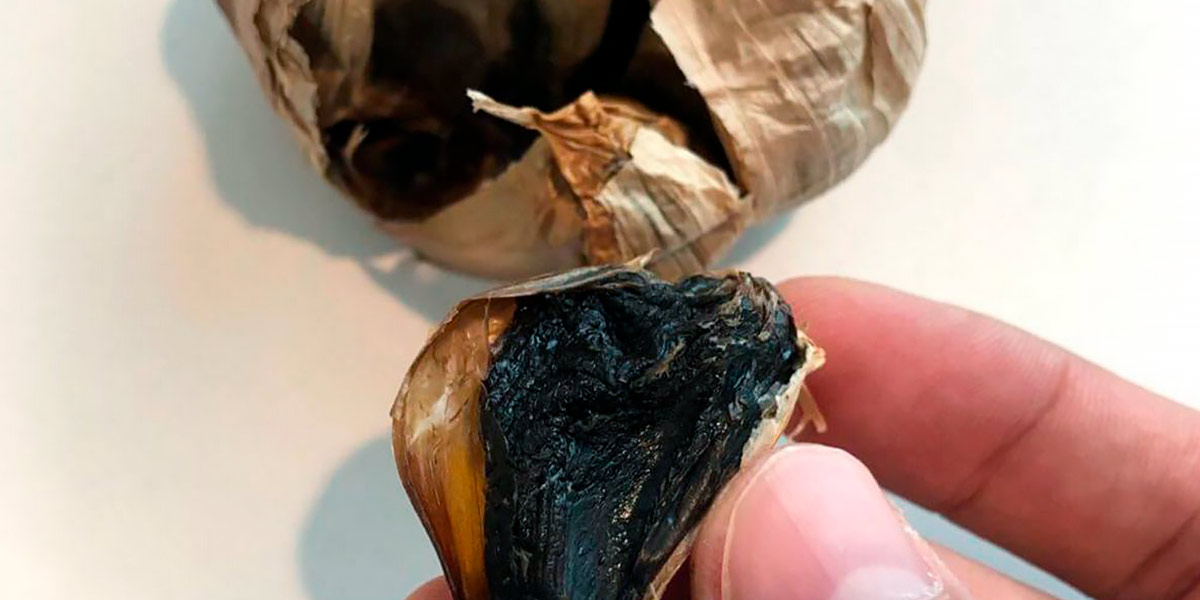 Propriétés de l’Ail Noir