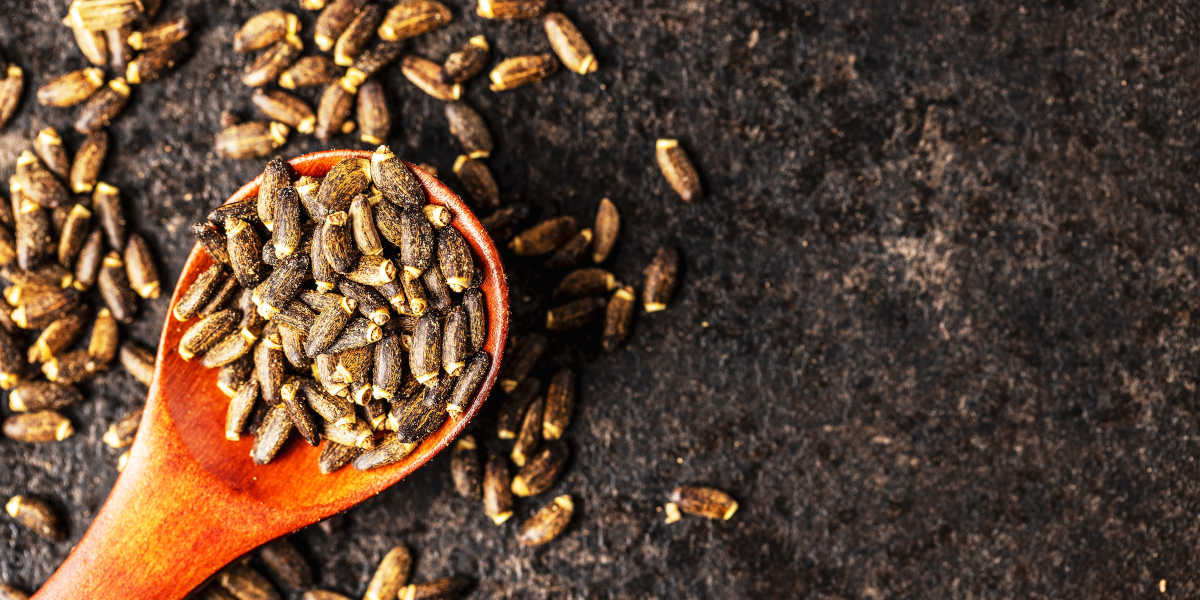 Cardon marian aliments riches en potassium