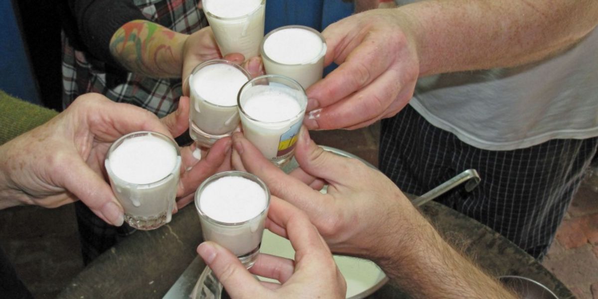 Brindis con Eggnog Brindis con Eggnog