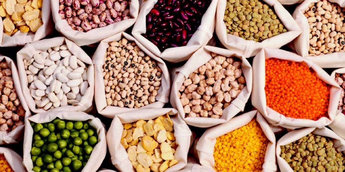 Alternative à la viande