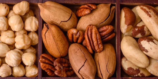 Frutos Secos y su Importancia para la Dieta Fitness