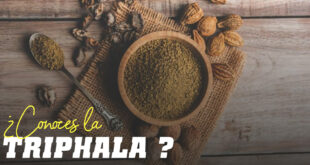 Un tazón de madera con polvo de triphala rodeado de frutas secas