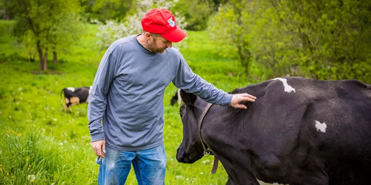 ¿Por qué no se debe tomar leche?