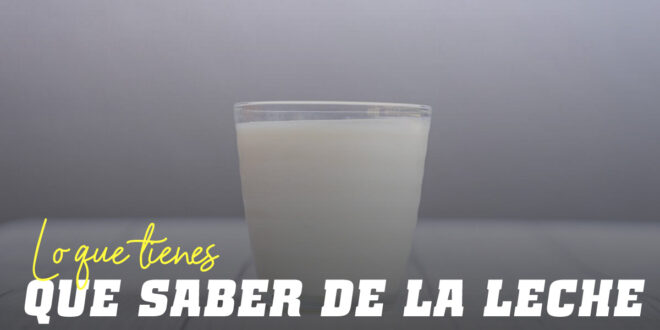 Leche: Todo lo que necesitas saber sobre este alimento