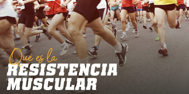 Todo lo que debes saber sobre la Resistencia Muscular