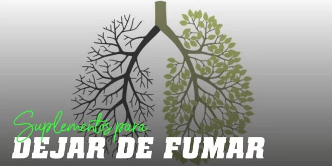 4 Suplementos naturales para dejar de fumar sin medicamentos 4 Suplementos naturales para dejar de fumar sin medicamentos