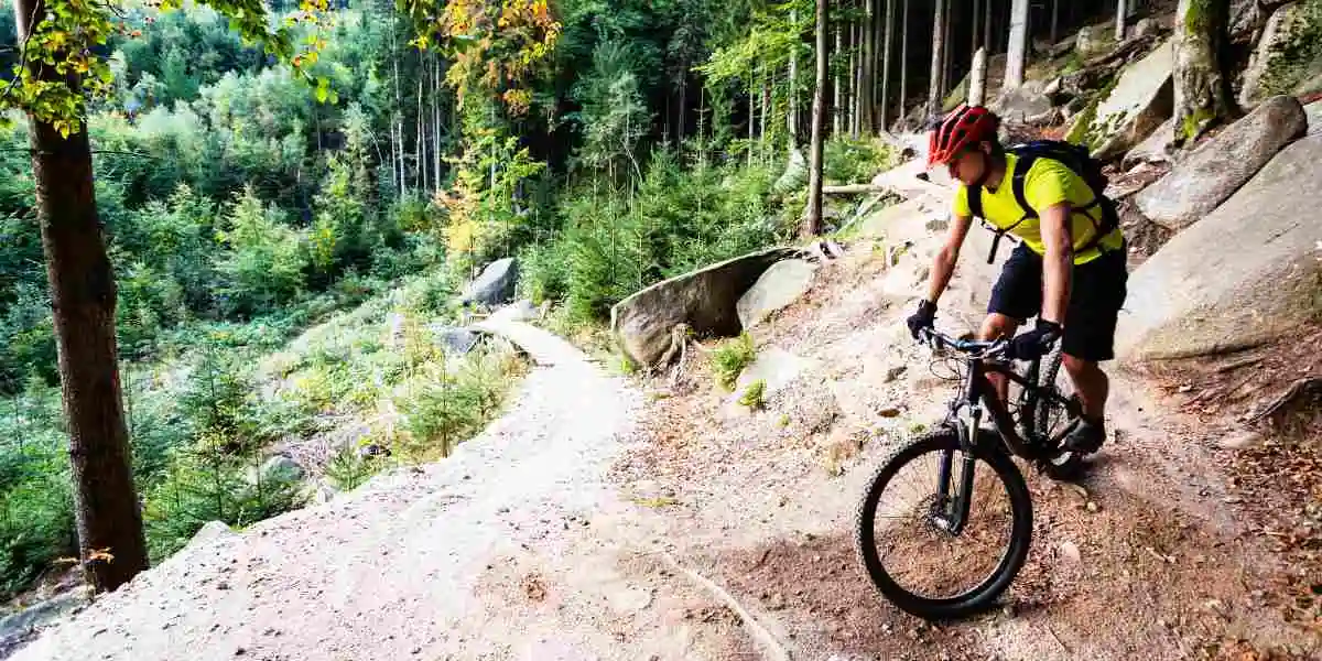 Ciclismo montaña o carretera, ¿cuál es mejor? Ciclismo montaña o carretera, ¿cuál es mejor?