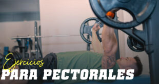 Ejercicios Pectorales