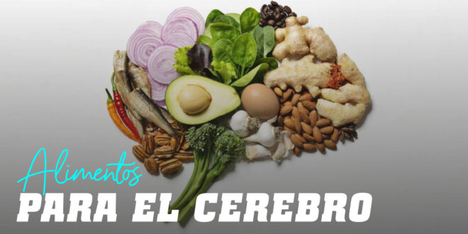 12 Alimentos saludables para mejorar la memoria y el cerebro