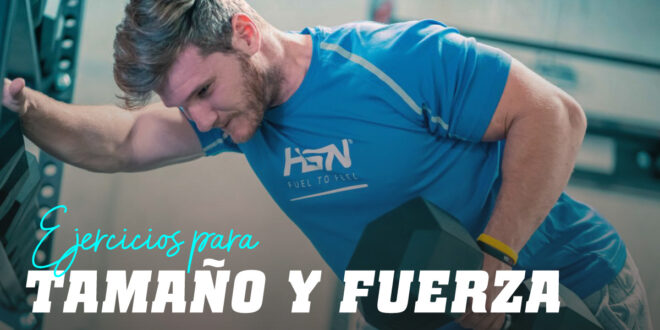 Los Mejores Ejercicios para Ganar Fuerza y Tamaño Los Mejores Ejercicios para Ganar Fuerza y Tamaño
