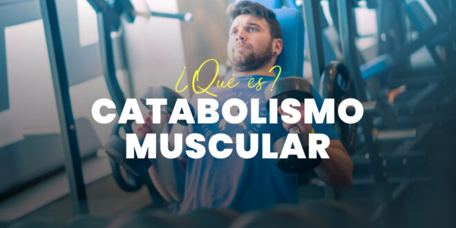 Catabolismo Muscular: Qué es, Por qué Sucede y Cómo Evitarlo