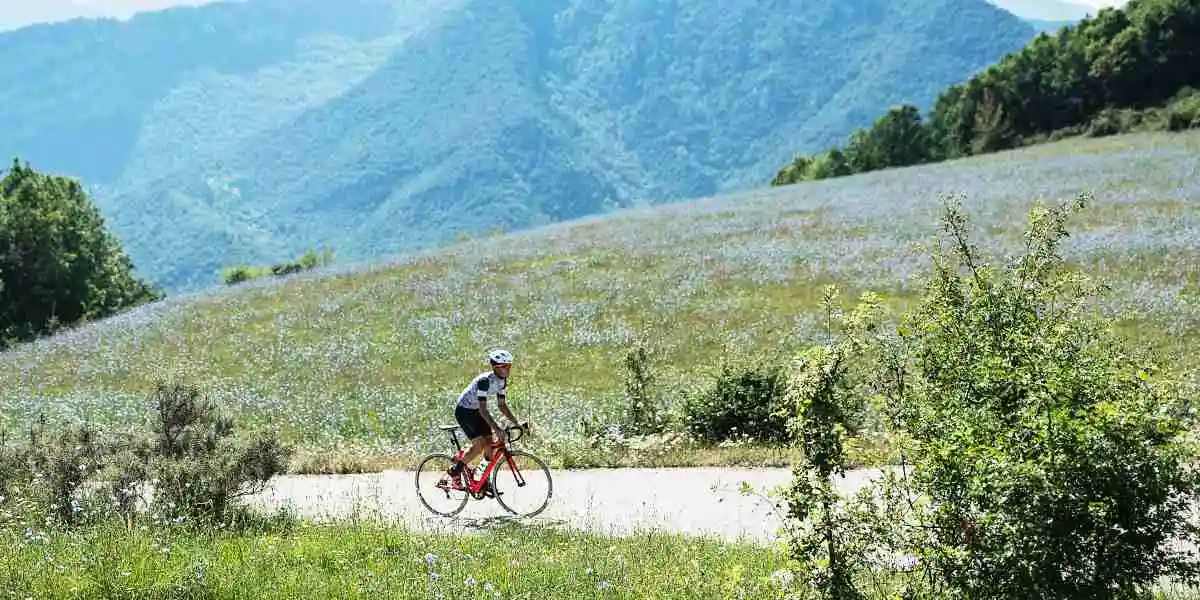 Calor y Ciclismo Calor y Ciclismo