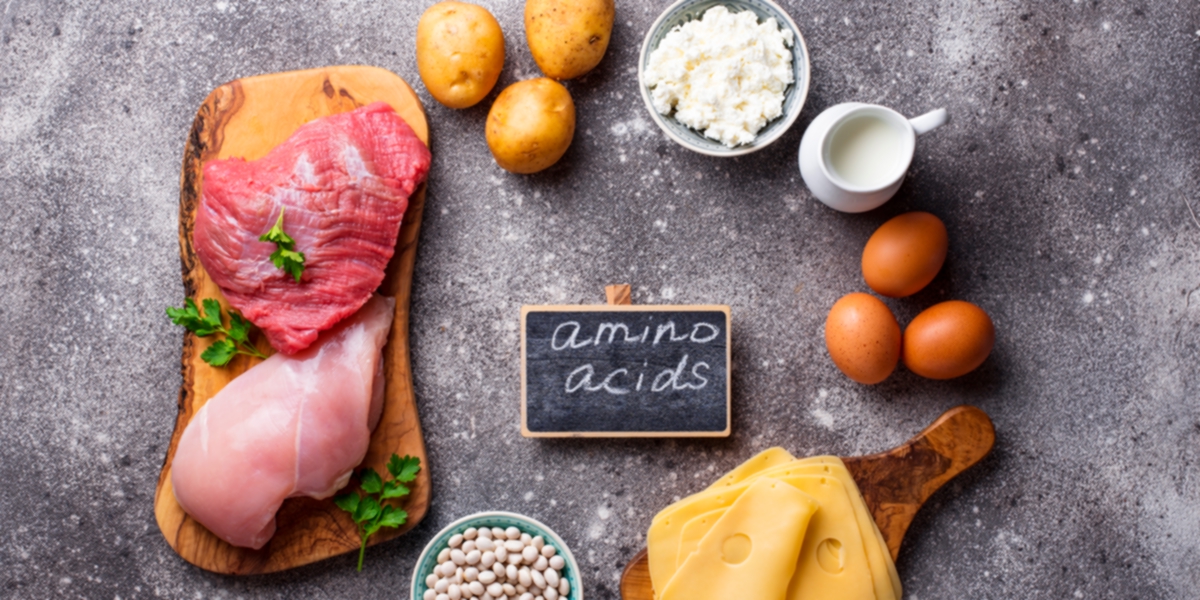 Qué es mejor: la proteína animal o vegetal Qué es mejor: la proteína animal o vegetal