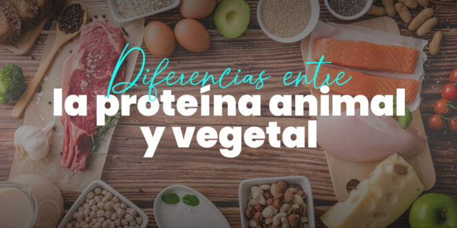 ¿Qué diferencias hay entre la proteína animal y vegetal? ¿Qué diferencias hay entre la proteína animal y vegetal?