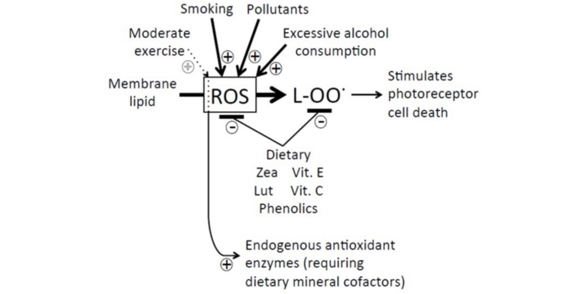 Contaminantes