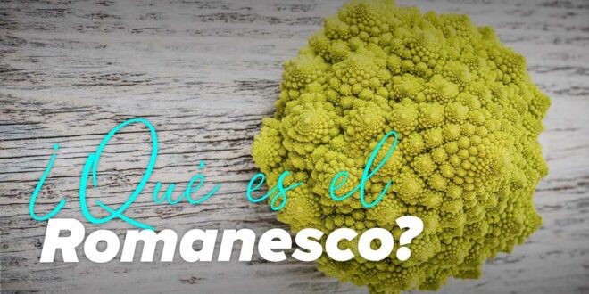 Romanesco: qué es, sus propiedades y cómo se come Romanesco: qué es, sus propiedades y cómo se come